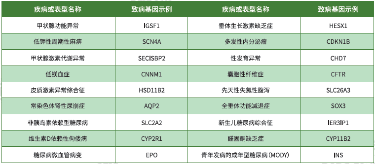 【28圈28圈基因检测】<font color='red'><font color='red'>内分泌</font>及<font color='red'>代谢</font><font color='red'>系统</font><font color='red'>疾病</font></font>致病基因鉴定基因解码
